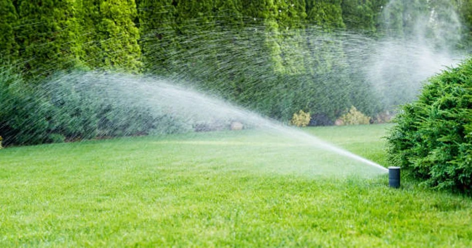 Sproeiers geven een gazon water